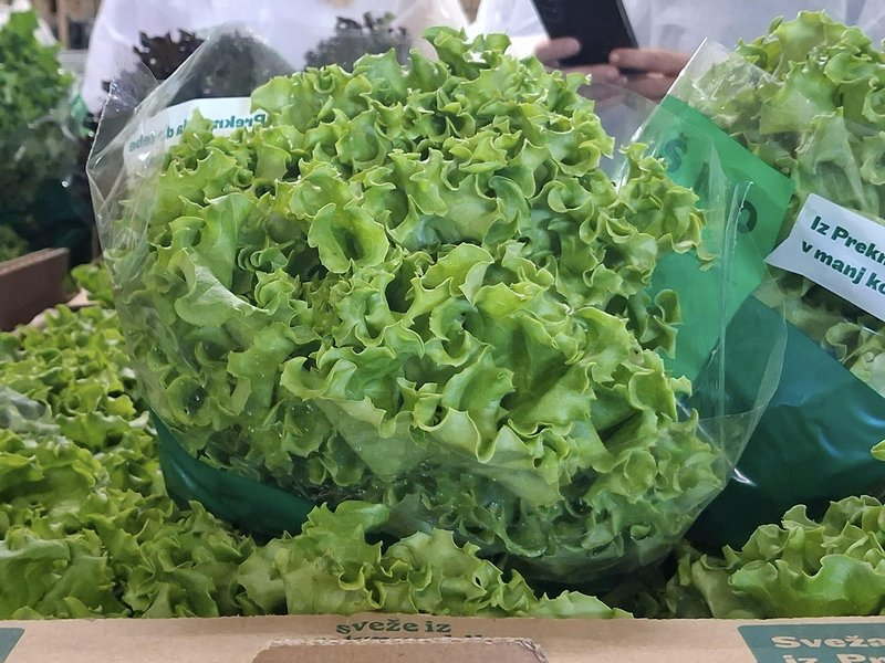 Kaj izgubimo, ko pozabimo, od kod prihaja naša hrana?