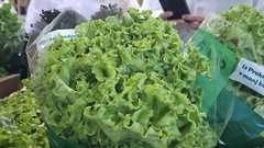 Kaj izgubimo, ko pozabimo, od kod prihaja naša hrana?