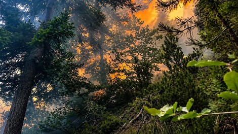 Današnji požar pri Bovcu nas opominja: 3 življenjske lekcije, ki jih prinaša ogenj