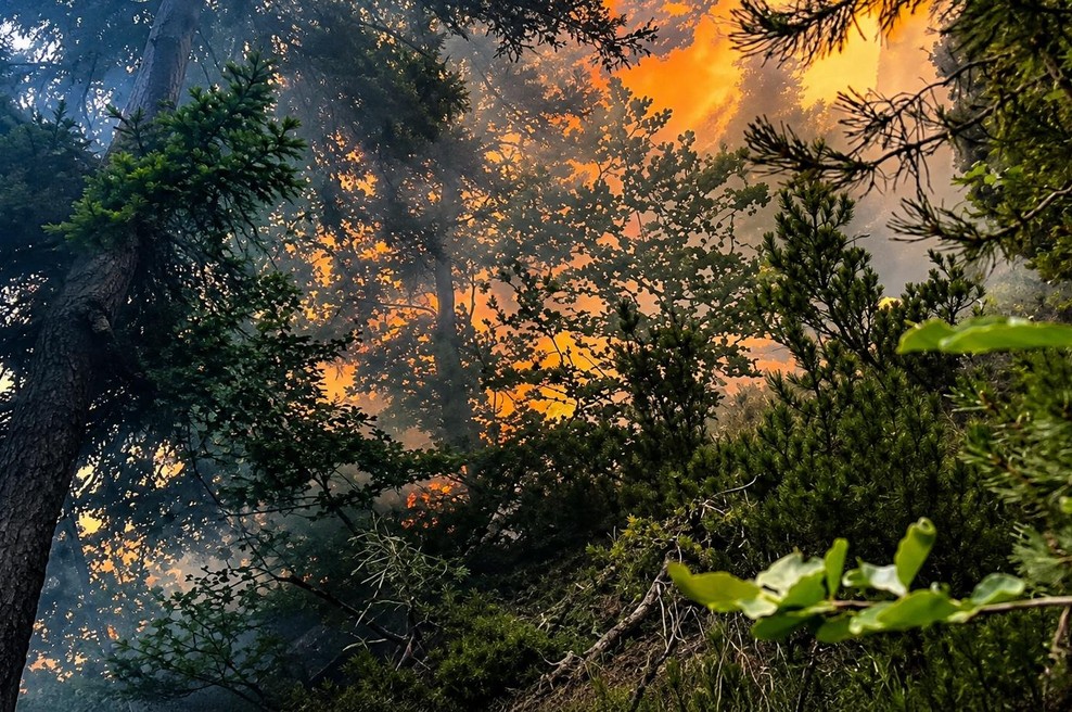 Današnji požar pri Bovcu nas opominja: 3 življenjske lekcije, ki jih prinaša ogenj (foto: osebni arhiv + ai)