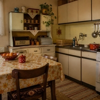 Vsi, ki so odraščali v Jugoslaviji, se tega dobro spomnijo: Brez tega ni bilo skoraj nobene hiše