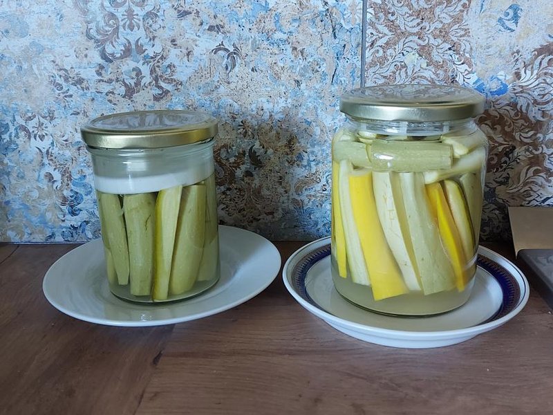 bučke_fermentacija