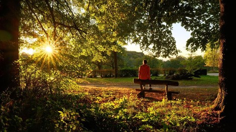 narava park