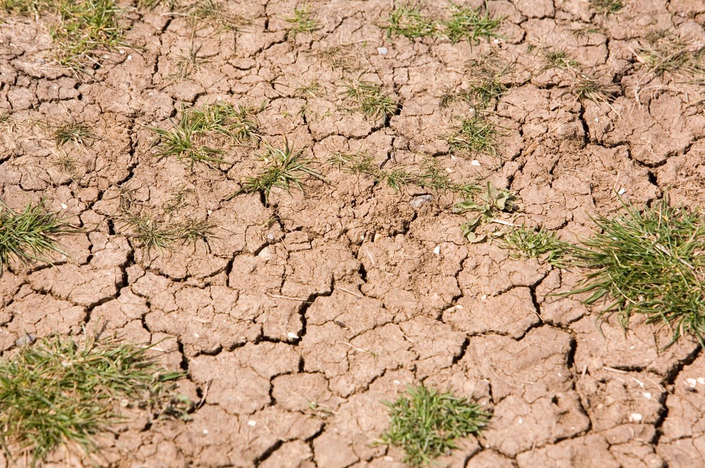 Presegli smo 7 od 9 planetarnih meja. Kaj to pomeni za naše življenje? (foto: Profimedia)